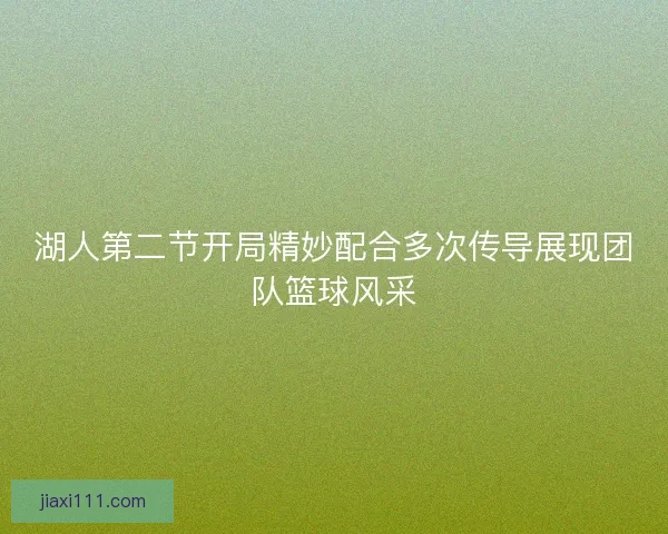 湖人第二节开局精妙配合多次传导展现团队篮球风采