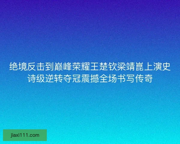 绝境反击到巅峰荣耀王楚钦梁靖崑上演史诗级逆转夺冠震撼全场书写传奇